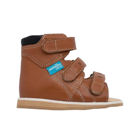 Aurelka 1003 Cygnet B2