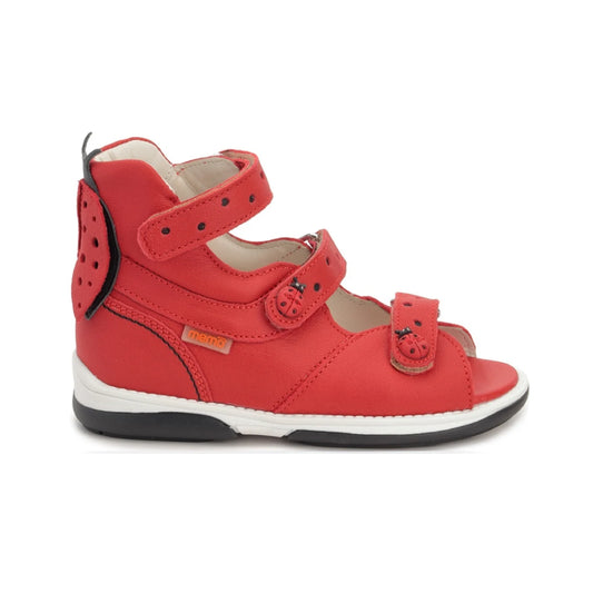 Memo Mammal Ladybird